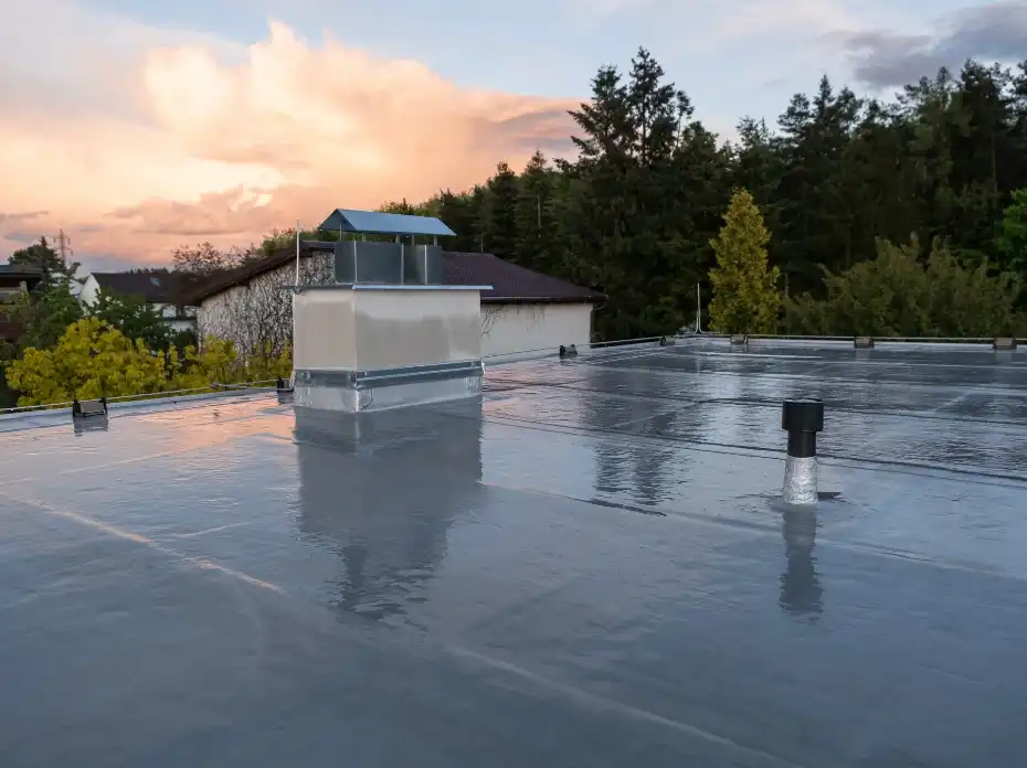 Flat roof with a shiny waterproof membrane reflecting surrounding trees at sunset.