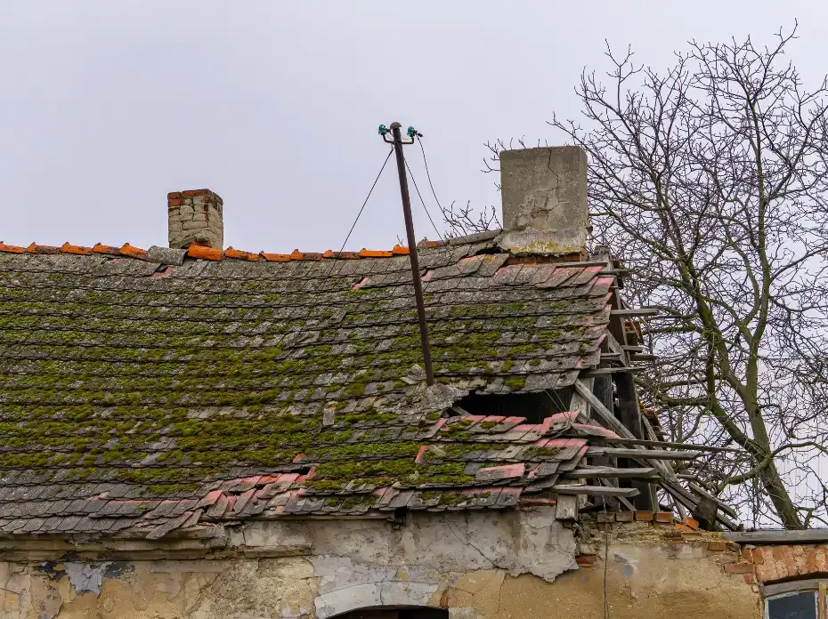 Dilapidated roof with broken tiles, moss growth, exposed wooden beams, and two chimneys under gray sky.
